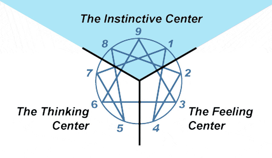 E-Centers-instinct